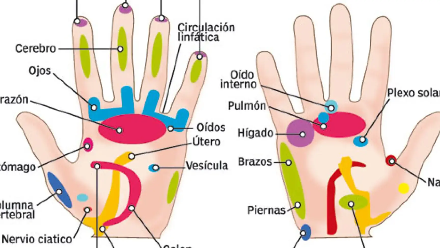 masajes en las manos